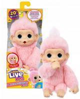 Little Live Pets - Mini Małpka Luna Lemon