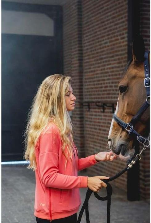 Actual product image Horse Pilot Team (XS)