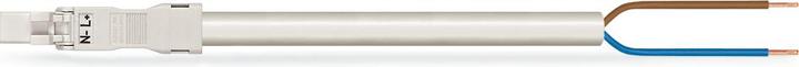 Actual product image Wago confect. Connection cable (3 m)