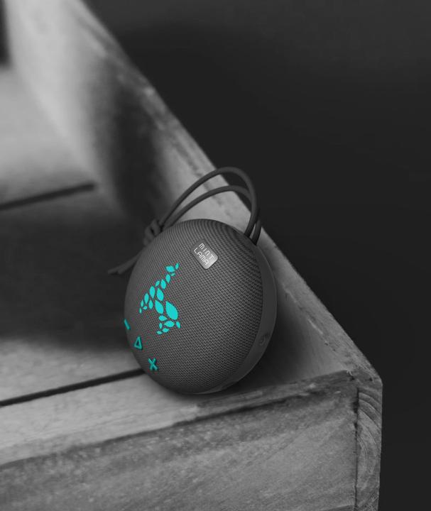 Actual product image Mint Lama Lamabeat 1 (4 h)