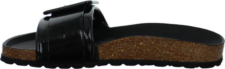 Actual product image Verbenas Reiko (38)