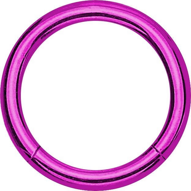Actual product image Star Piercing Micro segment ring violet with titanium layer (Surgical steel 316L, without brass)