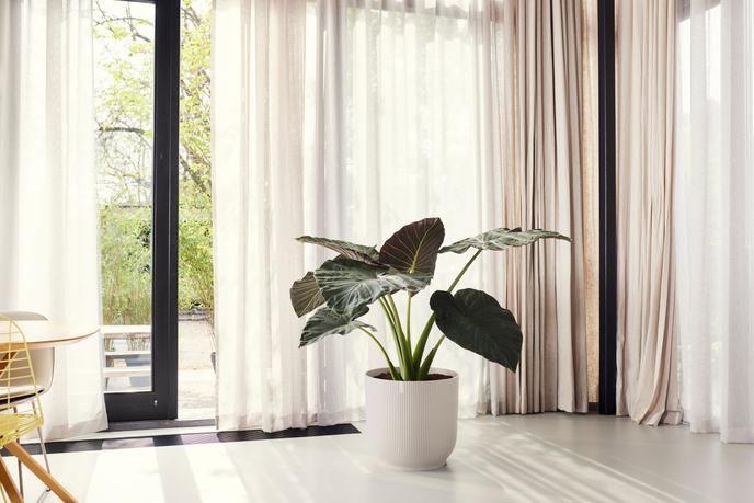 Actual product image Elho Vibes Fold (47 x 44 cm)