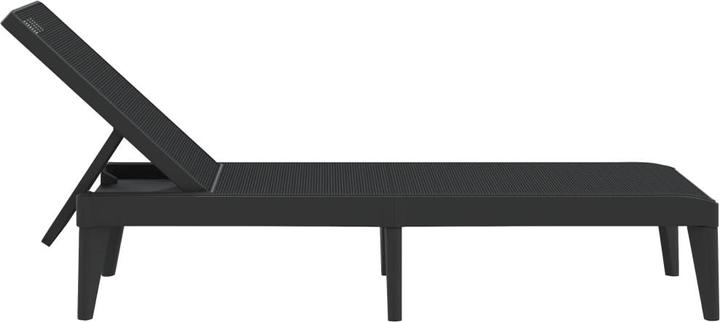 Image du produit VidaXL Sonnenliege Anthrazit 186x60x29 cm PP,Farbe: Anthrazit (186 cm)