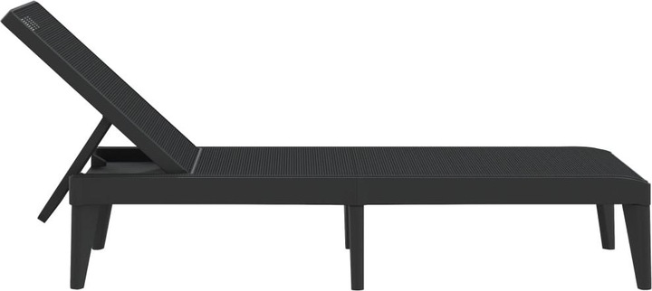Actual product image VidaXL Sonnenliege Anthrazit 186x60x29 cm PP,Farbe: Anthrazit (186 cm)