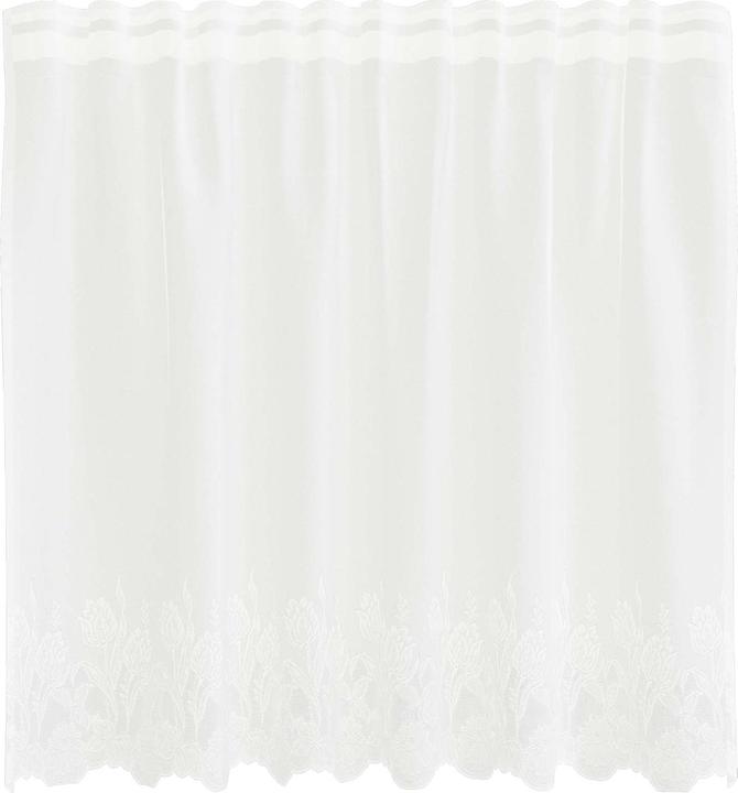 Produktbild vidaXL Spitzenvorhang (150 x 80 cm)