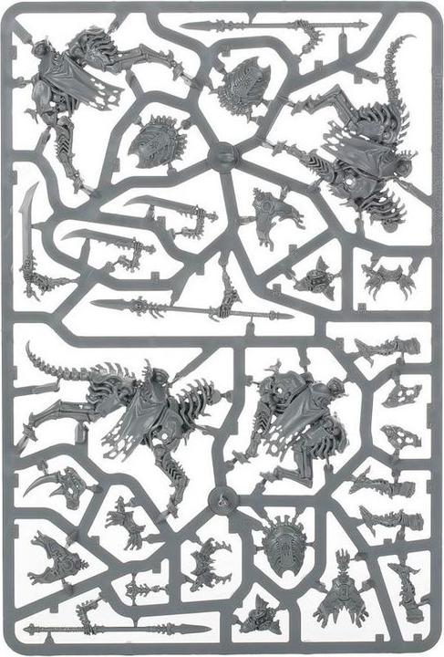 Image du produit Games Workshop Warhammer Age of Sigmar - Ossiarch B. Kavalos Deathriders (Matières plastiques)
