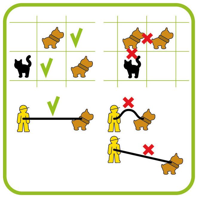 Immagine prodotto Smart Games Porta a spasso il cane (Francese, Inglese, Italiano, Tedesco, 1 Giocatori)