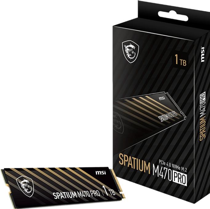 Produktbild MSI Spatium M470 Pro (1000 GB, M.2 2280)