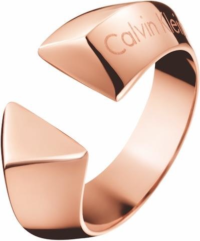 Calvin Klein Ring Shape (55)