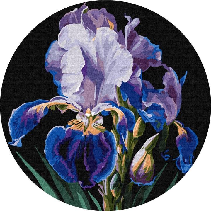 Actual product image Ideyka Malen nach Zahlen - Zarte Iris 33cm