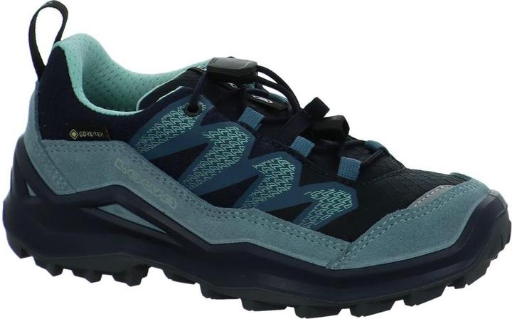 Image du produit Lowa Maddox Pro GTX LO (27)