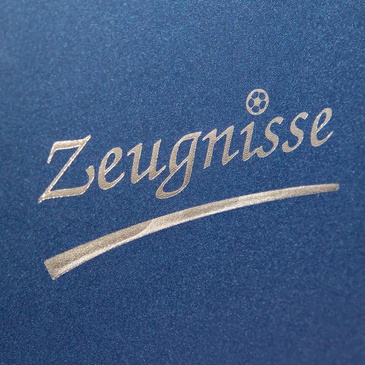 Image du produit Idena Cahier de notes A4 10 pochettes bleu (A4, 1 x)