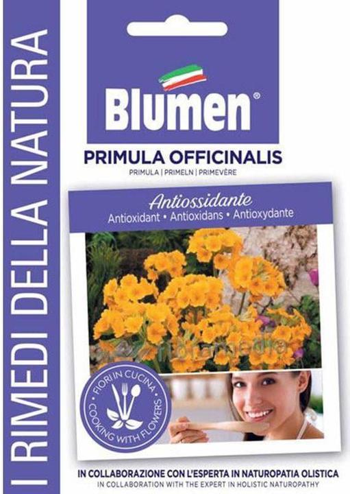 Image du produit Blumen Primevère (Primula officinalis) (Graines de fleurs)