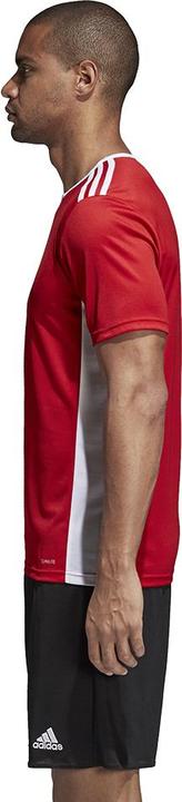 Produktbild adidas Entrada 18 Fussball (S)