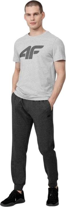 Produktbild 4F H4Z22 TShirt (M)