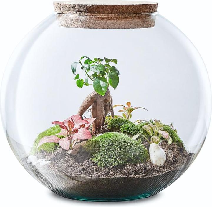 Actual product image Green Bubble Globe Garden (25 cm)