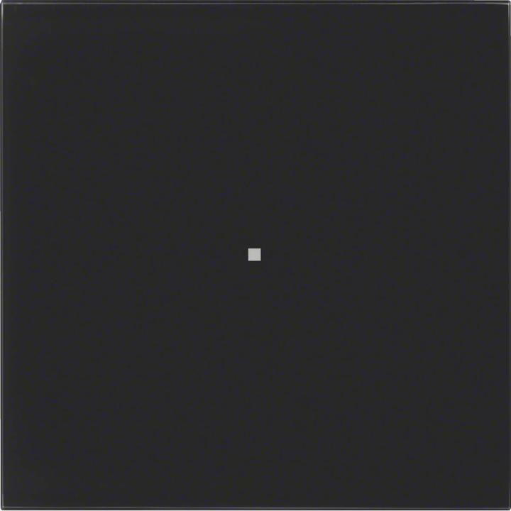 Actual product image Berker 75161592