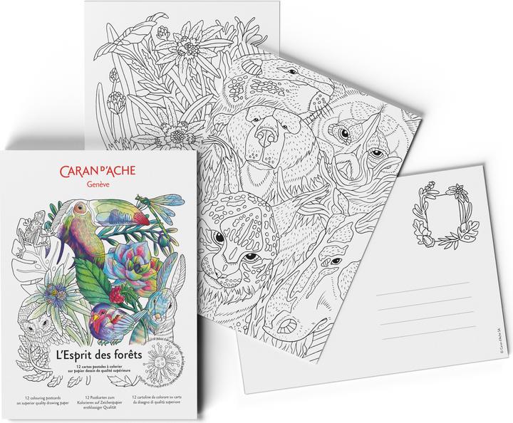 Caran d'Ache Esprit des Forets Postkarten (12 Stk.)