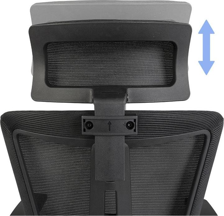 Produktbild Contini Ergonomic (47 - 53 cm)