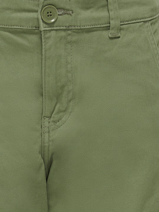 Verde lichene intenso