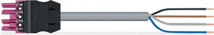Actual product image Wago confect. Connection cable (4 m)