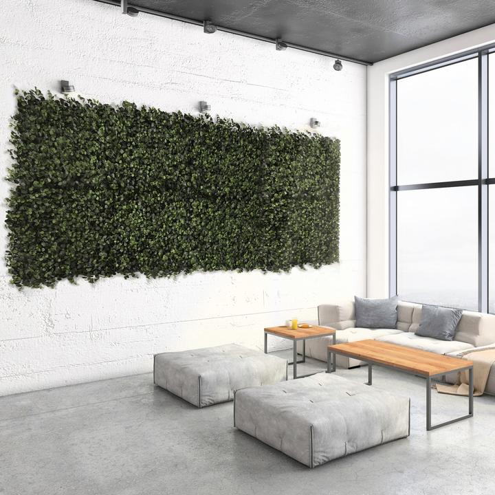 Immagine prodotto Karat Eucalyptus (7 cm)