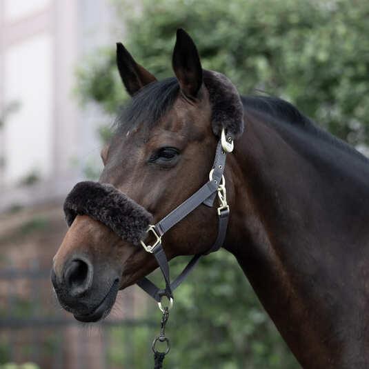 Immagine prodotto B Vertigo Laurier