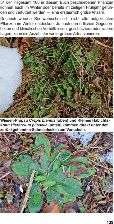Produktbild Landschildkröten-Futterpflanzen (Deutsch, Ricarda Schramm, 2017)