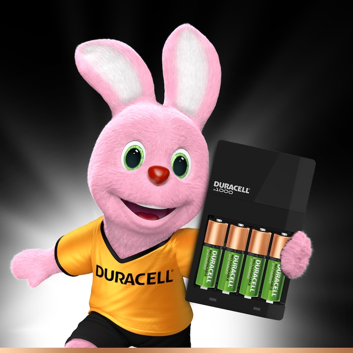 Actual product image Duracell Hi-Speed Value Charger incl. 2x AA and 2x AAA (4 pcs., AA, AAA, 1300 mAh, Battery + charger)