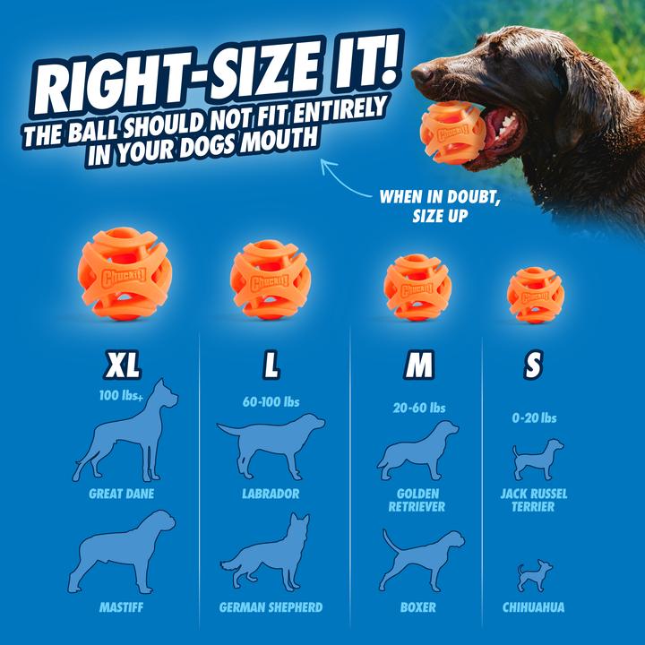 Image du produit Chuckit! CHUCKIT BREATHE RIGHT Bring the ball Lots 6.5 cm in diameter Size M 2 pcs Orange (Jouet à balle chien)