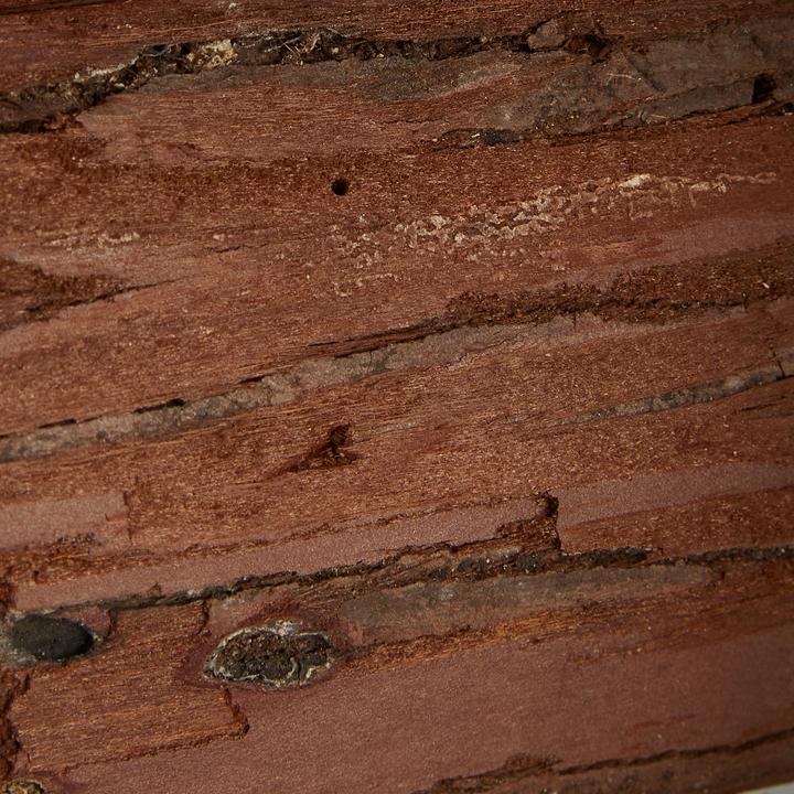 Immagine prodotto Relaxdays Casetta per uccelli decorativa