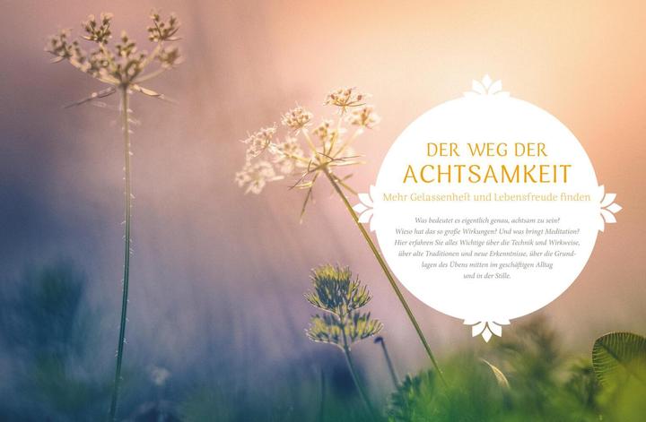 Produktbild Achtsamkeit (Deutsch, 2017)