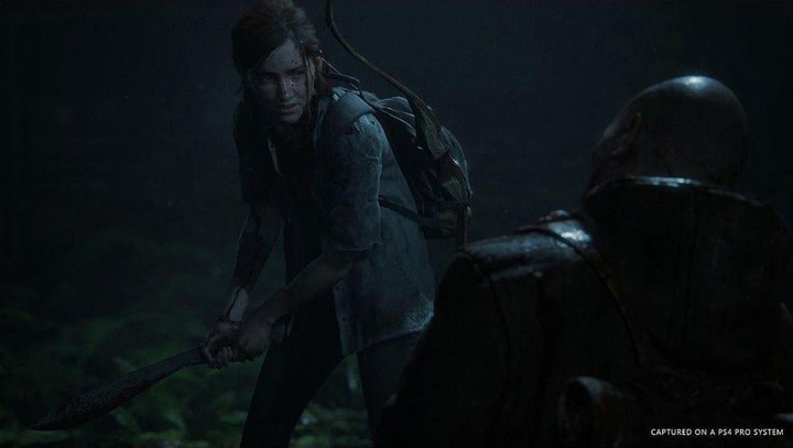 Actual product image Sony The Last of Us Part 2 (PS4, DE)