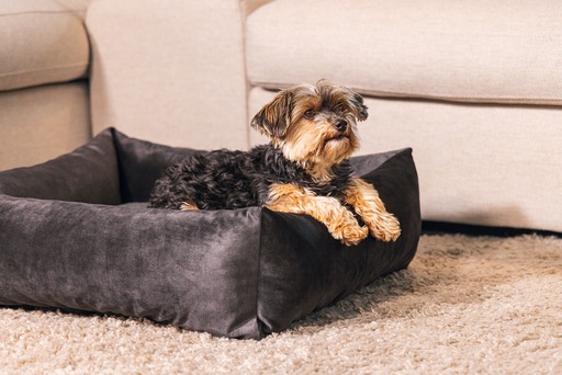 Image du produit Designed by Lotte Lit de repos Ribbed (Chien)