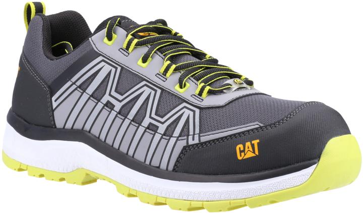 Actual product image Cat Batch (S3, 42)