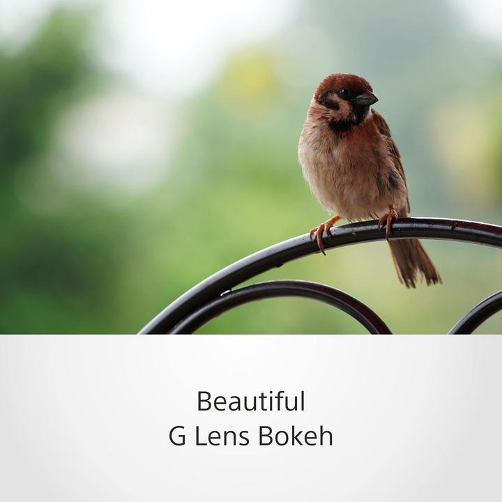 Actual product image Sony E 70-350mm f/4.5-6.3 G OSS (Sony E, APS-C / DX)