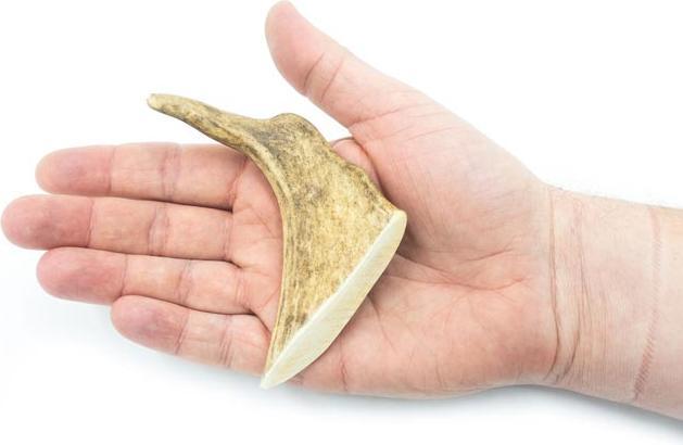 Produktbild 4Dogs Original 4DOGS - Kaugeweih vom Damhirsch (hard) - S