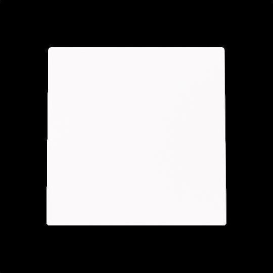 Actual product image Busch-Jaeger Blind central disc