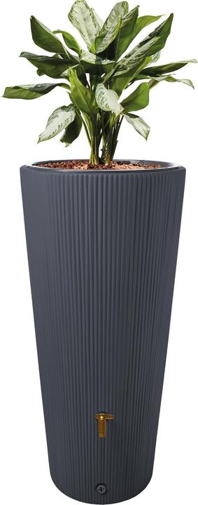Image du produit 4rain Vaso 2in1 Décor (220 l)