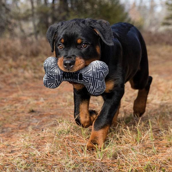Thumbnail - KONG - Maxx Bone Squeak Toy M/L (634.7352) (Hundespielzeug), Hundespielzeug