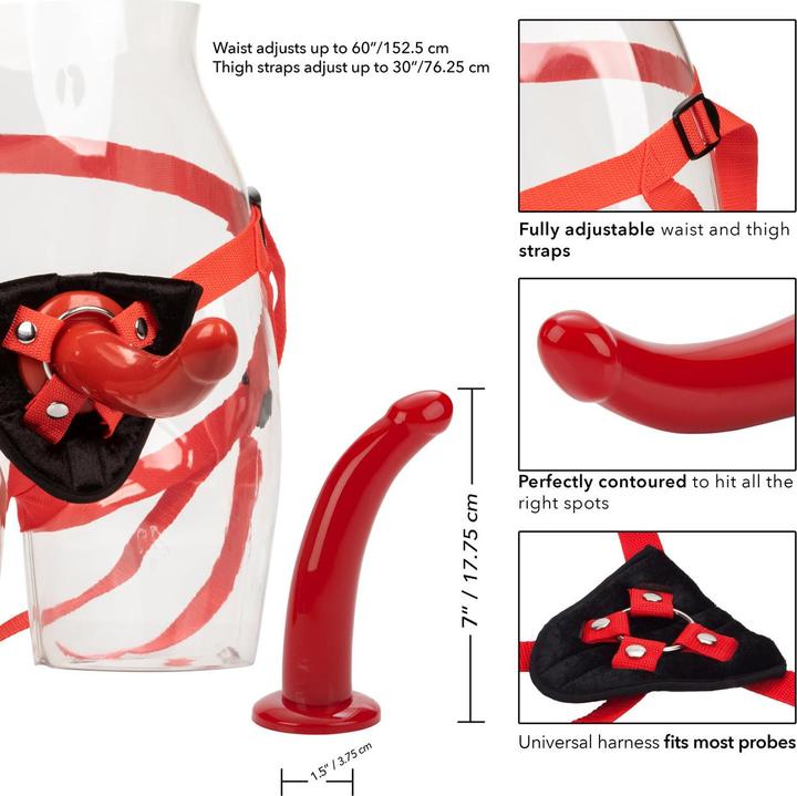 Image du produit CalExotics Red Rider