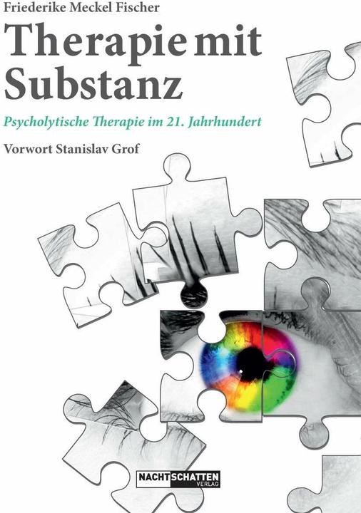 Produktbild Therapie mit Substanz (Deutsch, Friederike Meckel Fischer, 2016)