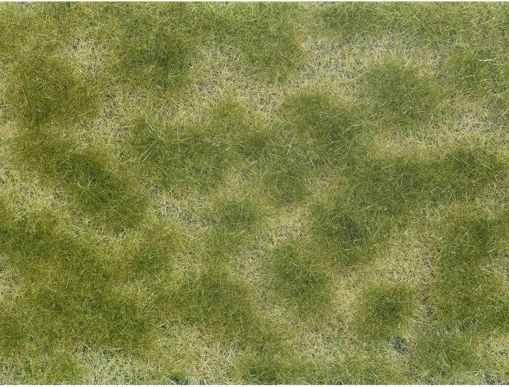 Productafbeelding Noch 07253 Bodembedekkers Groen, Beige