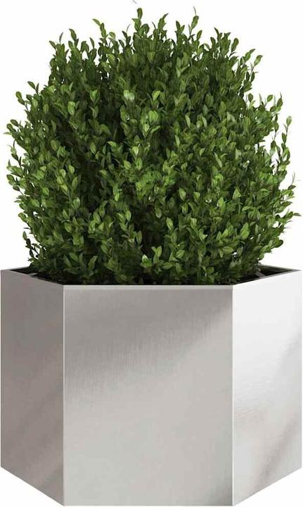 Produktbild vidaXL Pflanzkübel