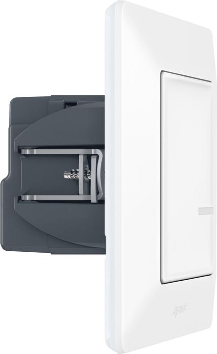 Actual product image Legrand 752184 Valena 752184 Life with Netatmo Switch/Dimmer