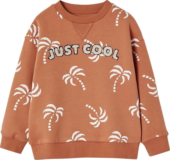 Vertbaudet Jungen Sweatshirt mit Frottee-Motiv und Recycling-Polyester