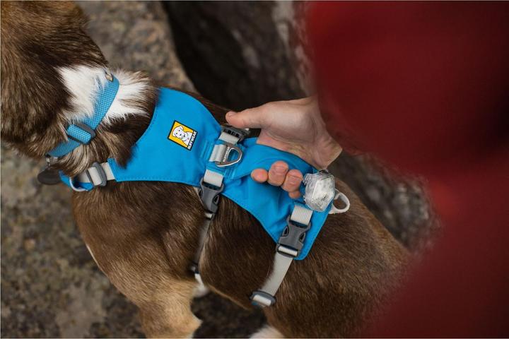 Actual product image Ruffwear Flagline dog harness (L, XL, Dog, General)