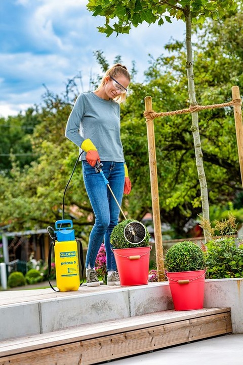Produktbild Gloria Haus und Garten Spritzgerät Pflanzenschutz Set 2in1