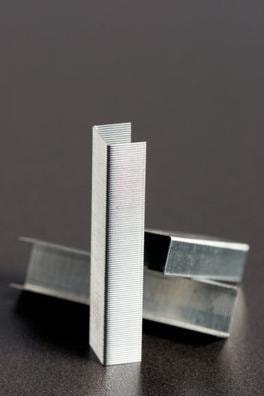 Actual product image Rapid Standard (1000 x)